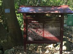 -清溪森林公园