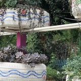 周末朋友聚会休闲圣地[加油]