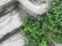 -江宁织造博物馆