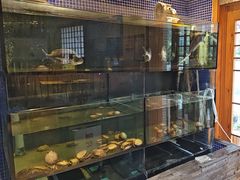 -万鱼亭 日本料理(无锡香山名园店)