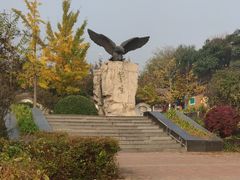 -北京鹫峰国家森林公园