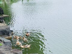 -上海怡沁园度假酒店