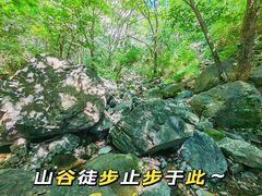 -云岫谷游猎自然风景区