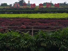 -三峡古玩城(泰古广场店)