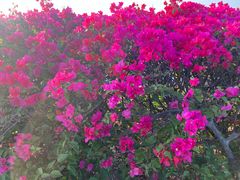 -露天矿生态公园