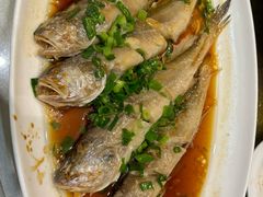 -苏启渔港(云南北路店)