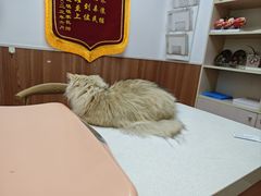 -宠福鑫动物医院·动物疾病诊疗中心(天通苑店)