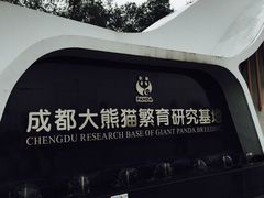 -成都大熊猫繁育研究基地