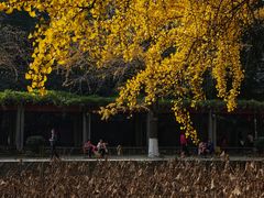 -四川大学(望江校区)
