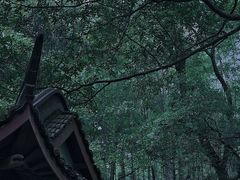 景点-云栖竹径