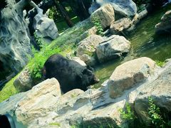 -北京野生动物园