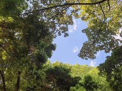 -成都市活水公园