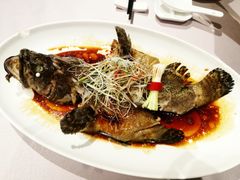 清蒸龙胆鱼-紫阳海鲜楼·传承闽味(长乐路总店)