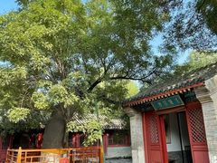 -北坞公园