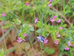 -沕沕水生态风景区