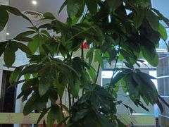 -友谊水疗会所