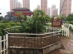 -曹州百花园