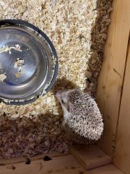 -酷嗒动物文化乐园(cutezoo西溪乐天城店)