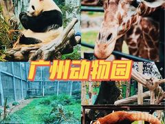 -广州动物园