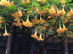 -古大圣慈寺