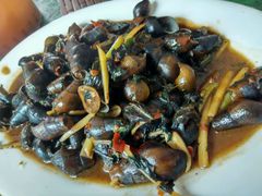 -正宗高流河饭店原创风姜鸡