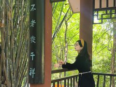 -潜山国家森林公园