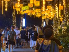 -广西壮族自治区药用植物园