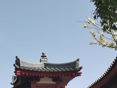 -大慈恩寺(大雁塔)