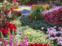 -海心沙亚运公园