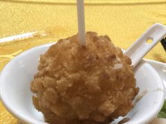 -丁老爷子苏香圆