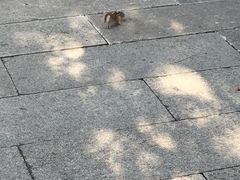 -船政文化景区-罗星塔公园