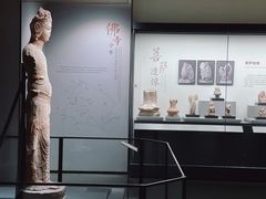 -四川大学博物馆