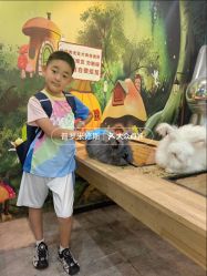 -神奇动物撸宠馆·羊驼·小浣熊·异宠(豫园店)