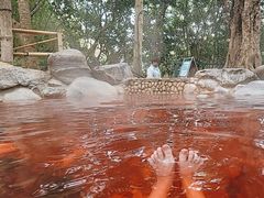 -湖泉半山温泉
