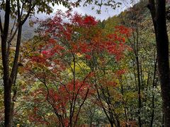 -燕子河大峡谷天坑仙境