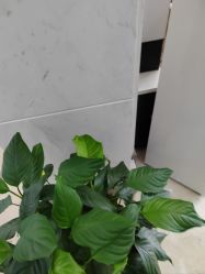 -杭州奥拉克医疗美容门诊部