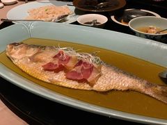 清蒸鲥鱼-夜上海(新天地店)