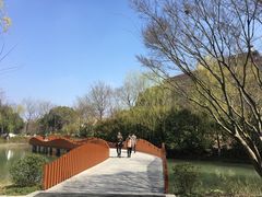 -青枫公园