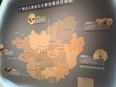 -广西壮族自治区博物馆