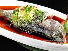 清蒸老虎斑-四季美蚝皇