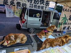 -莫子山公园