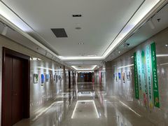 -郑州新郑国际机场T2航站楼-贵宾厅B区