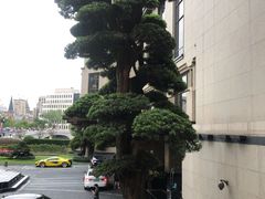 -上海苏宁宝丽嘉酒店·嘉府壹号中餐厅