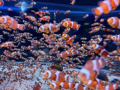 -海合安成都极地海洋公园