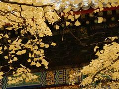 -红螺寺