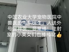 -中国农业大学动物医院