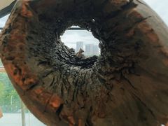 -上海当代艺术博物馆