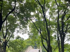 -沙市市中山公园
