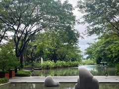-瑰丽酒店·海吧·天际下午茶·现场DJ·天台酒吧