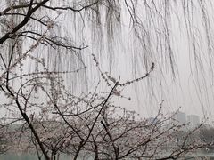 -河北省园博园